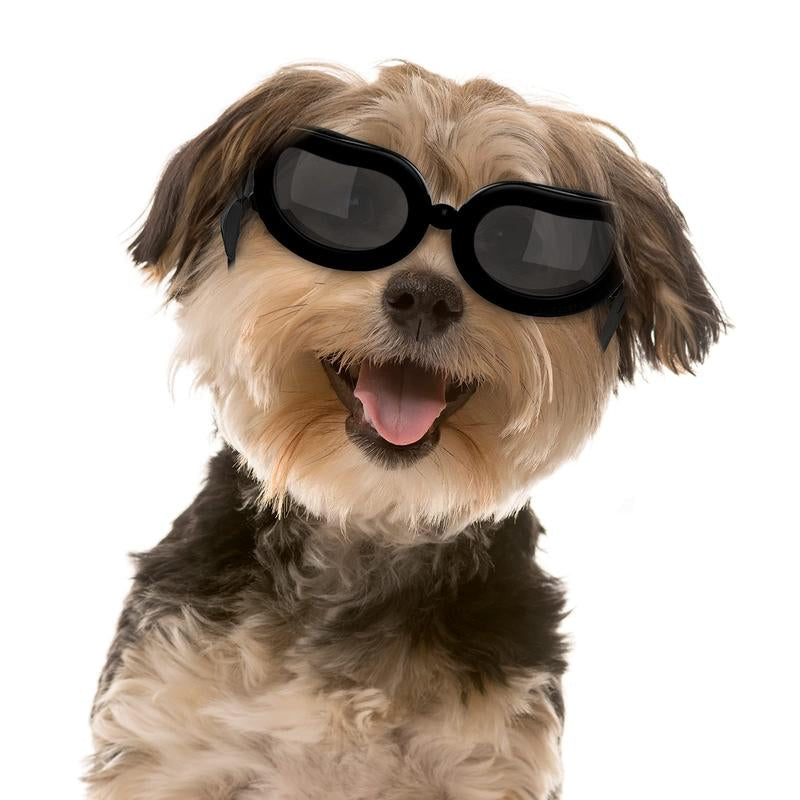 【Freeship】Vavopaw Dog Goggles Small Dog Sunglasses with Adjustable Band, Waterproof Windproof Snowproof Cool Glasses for Puppy and Cat, Black Dogaccessories Summer Dog Fashion Outdoor