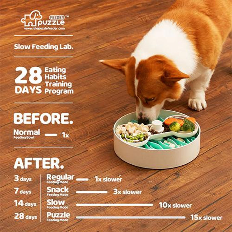 Puzzle Feeder, Slow Feeder Dog Bowl with 4 Slow Feeder Modes