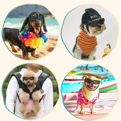 【Freeship】Vavopaw Dog Goggles Small Dog Sunglasses with Adjustable Band, Waterproof Windproof Snowproof Cool Glasses for Puppy and Cat, Black Dogaccessories Summer Dog Fashion Outdoor