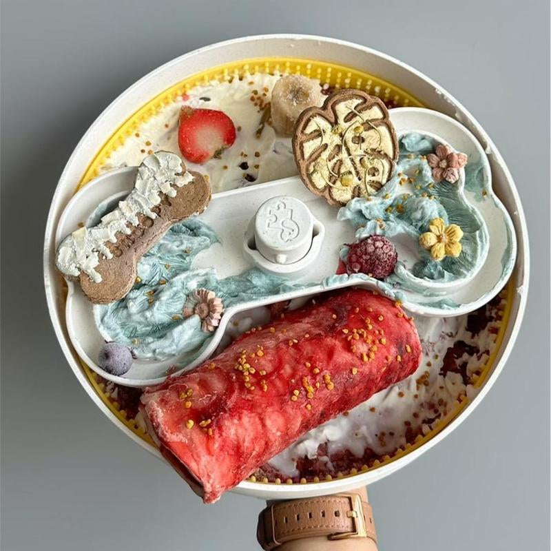 Puzzle Feeder, Slow Feeder Dog Bowl with 4 Slow Feeder Modes