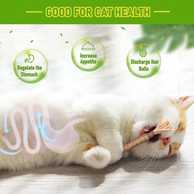 Natural Silvervine Cat Chew Toy - Matatabi Teeth Cleaning, Edible Kitty Treat, Interactive Catnip Toy for Hairball Control & Mood Boost